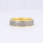 Load image into Gallery viewer, Sirius Meteorite Ring with 18K Yellow Gold
