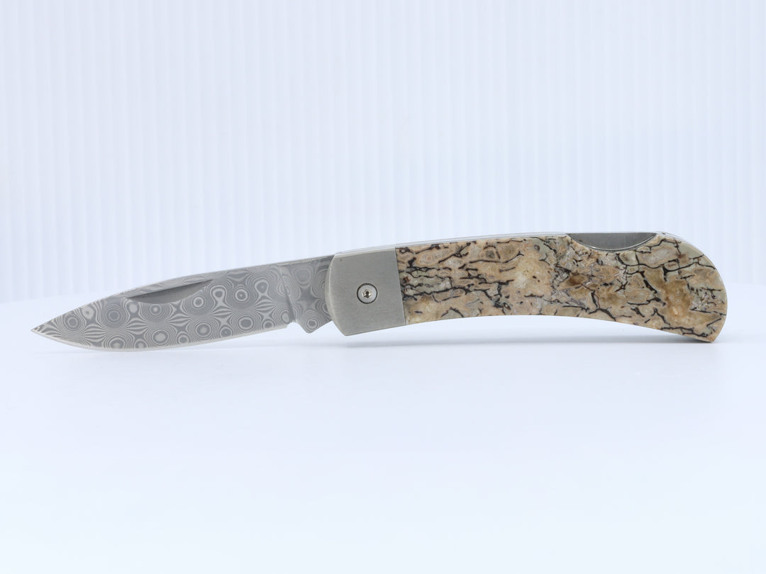 3" Lockback Knife- Dinosaur Bone Inlay w/ Damascus Steel Blade