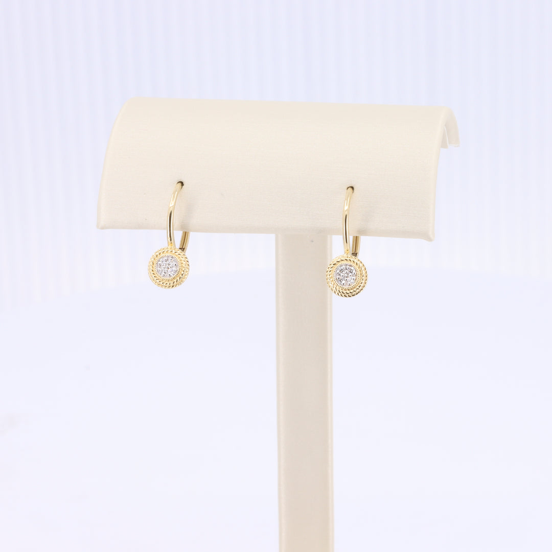 Round Twisted Rope Frame Diamond Earrings in Yellow Gold
