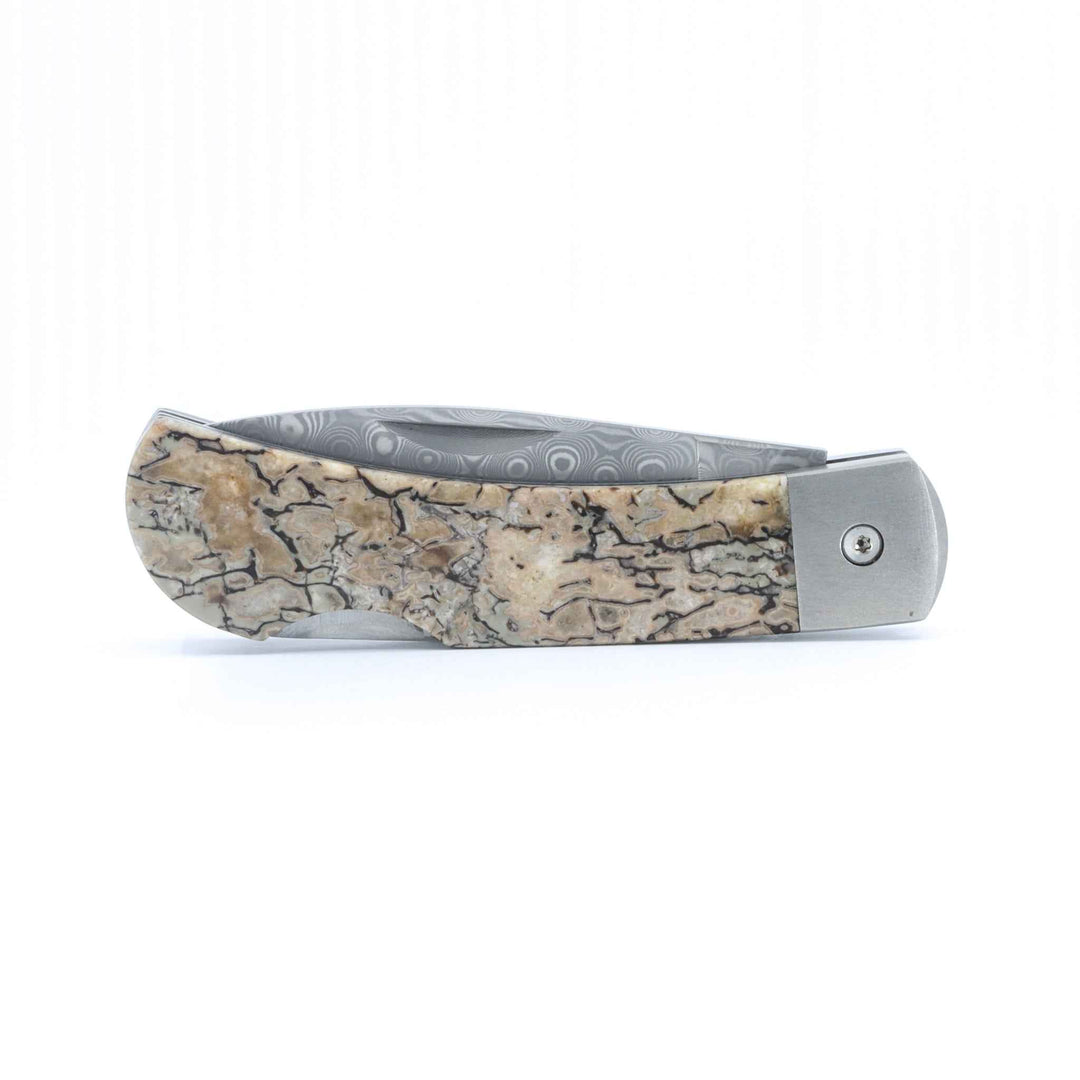 Damascus Steel Blade Lockback Knife w/Dinosaur Bone Inlay -3" Closed - Kizer Cummings Jewelers