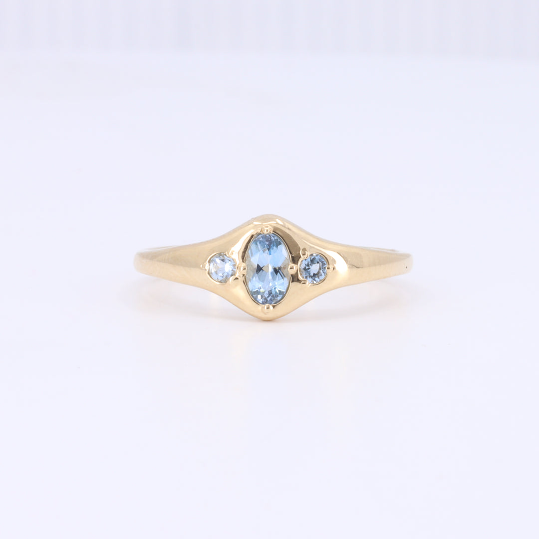 Aquamarine Signet Birthstone Ring in Yellow Gold