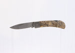 Load image into Gallery viewer, 3&quot; Lockback Knife- Dinosaur Bone Inlay w/ Damascus Steel Blade
