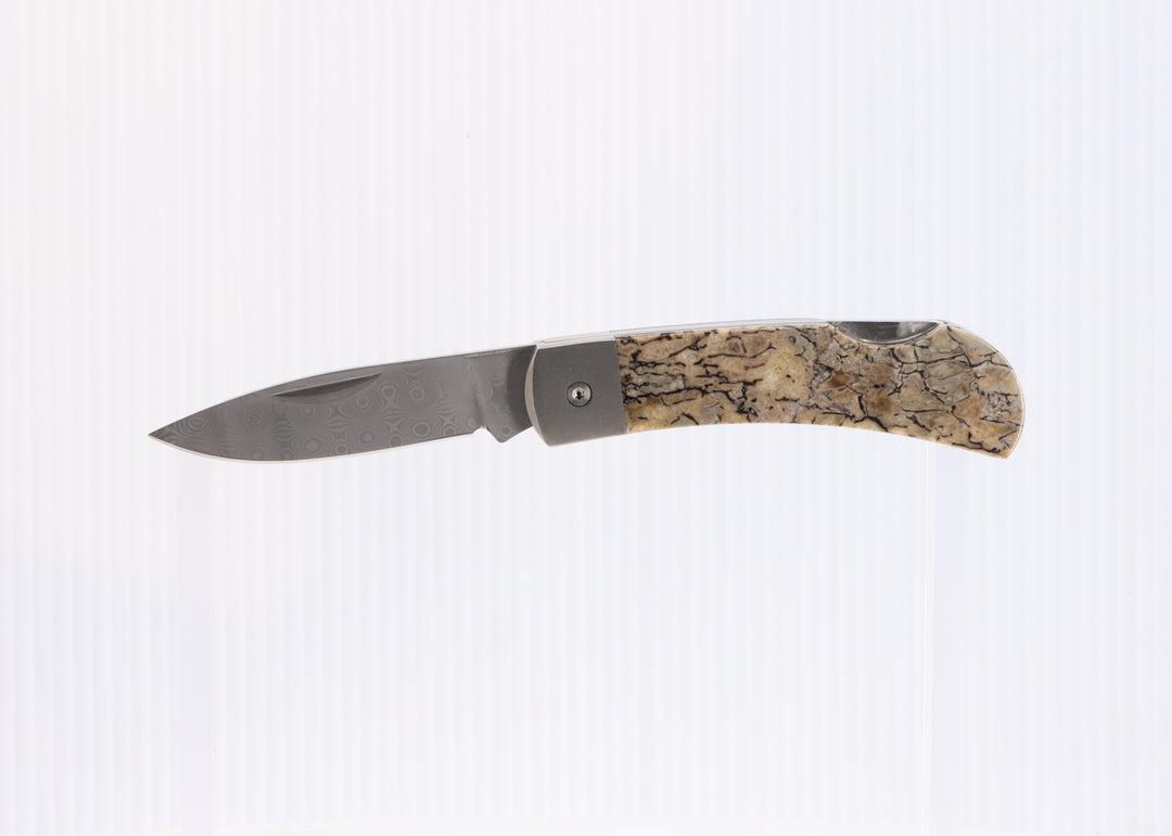 3" Lockback Knife- Dinosaur Bone Inlay w/ Damascus Steel Blade